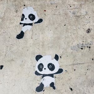 Meet your Posher, Jodie